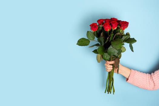 Hand holding Beautiful big bouquet of red roses light blue background. Trendy poster for Valentines Day, International Womens Day or mothers day. Banner with Copy space.