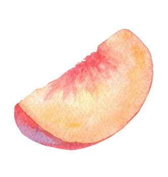 watercolor slice of peach fruit isolate on white background for branding design, kitchen decor