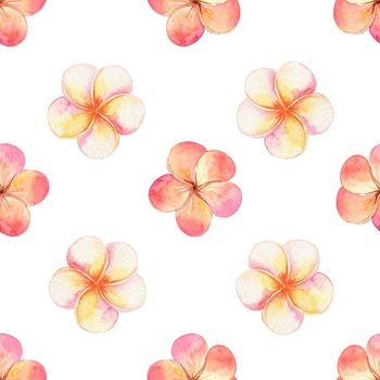 Watercolor orange Frangipani seamless pattern on white background. Tropical print