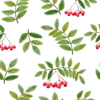 watercolor rowan branches seamless pattern with red berries and green leaves on white background for fabric, textile, scrapbooking, wrapping paper,invitations