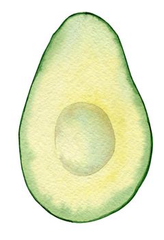 watercolor half avocado without seed isolated on white background. Food illustration