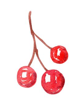 watercolor red berries branch isolated on white background