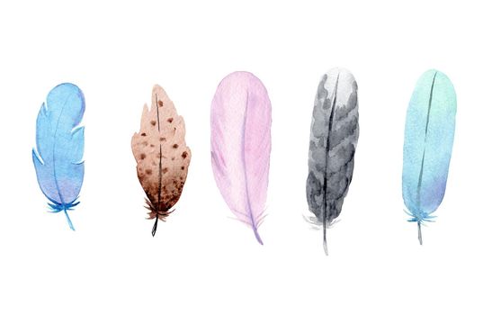 watercolor hand drawn boho bird feathers isolated on white background