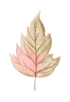 watercolor autumn leaf isolated on white background. Dry falling leaf illustration