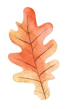 watercolor orange oak leaf isolated on white background