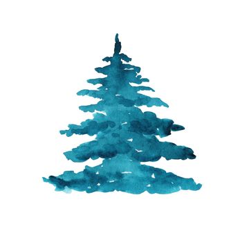 watercolor blue fir tree isolated on white background