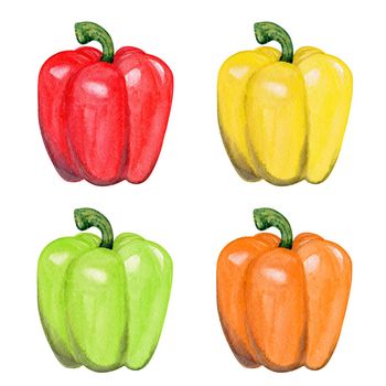 Watercolor color peppers set isolated on white background. Red, green , yellow and orange pepper hand drawn illustrations