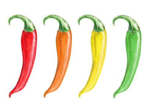 Watercolor multicolor chili peppers set isolated on white background.