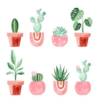 watercolor houseplants in pink pots set isolated on white background. Cactuses and succulents indoor garden illustrations
