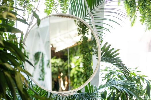 houseplants, palm trees in the interior.