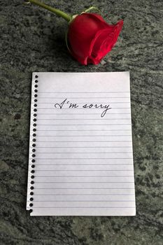 A Sorry Note with a Single Red Rose Beside it on a granite countertop. High quality photo