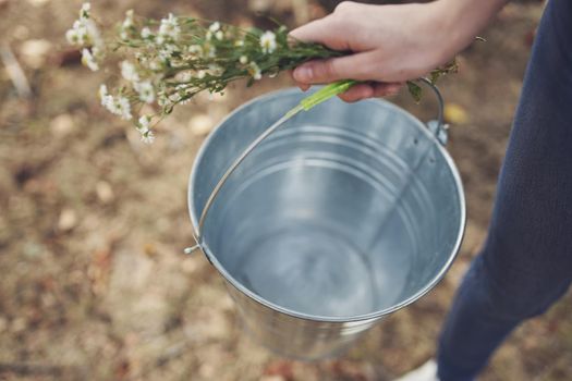 iron bucket countryside nature lifestyle. High quality photo