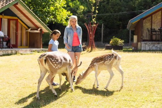 adorable toddler feeds deer on farm. Beautiful baby child petting animals in the zoo. Excited and happy girl on family weekend.