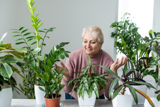 people, housework and plants care concept - senior woman watering houseplants at home.