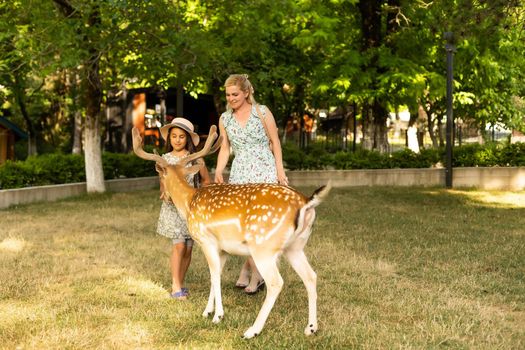Little girl is standing with a reindeer.