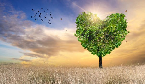 Heart Tree Love For Nature Landscape