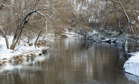 Winter landscape with unfrozen river and snowy trees. Sunny winter day