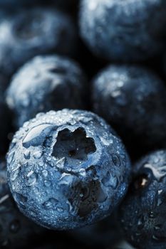 Blueberries close-up in full screen with dew drops. Macro, juicy and ripe berries.