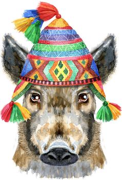 Cute piggy in Peruvian chulo hat. Wild boar for T-shirt graphics. Watercolor brown boar illustration