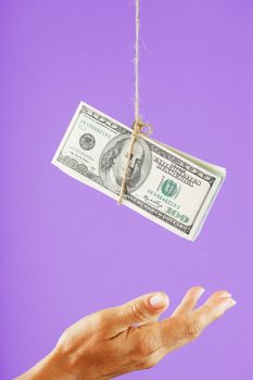 Money on a rope above the palm on a pink background. The concept of seduction of corruption, motivation or charity