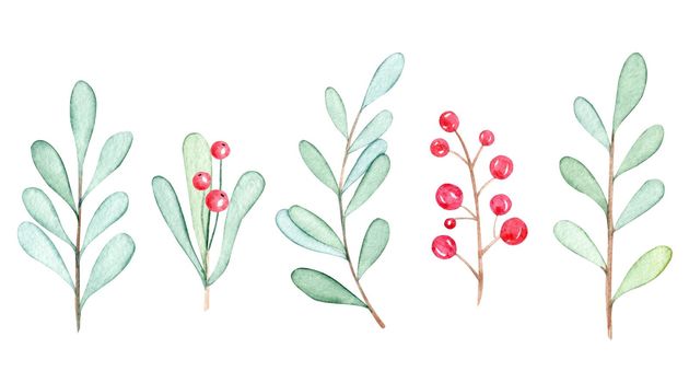 Watercolor mistletoe branches set isolated on white background. Winter greenery and red berries collection hand drawn illustrations