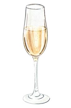 Watercolor champagne glass isolated on white background. White wine glass hand drawn illustration