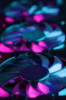Large and powerful graphics card with three fans with blue pink light. The concept of a cyberpunk video chip for gaming and cryptocurrency mining. Selective focus.