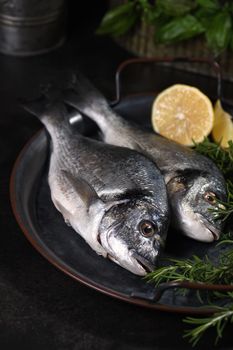 Fresh raw dorado on a tin tray with lemon slices and rosemary. Mockup for fish restaurant, shop or market. Still life in dark colors