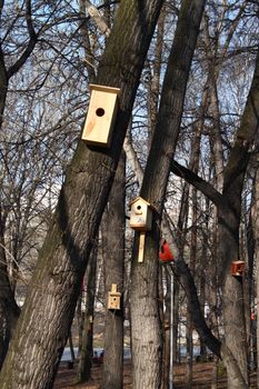 spring birdhouses in the park between the trees on blue sky background