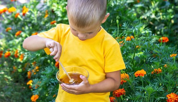 child eats honey in the garden. Nature. selective focus