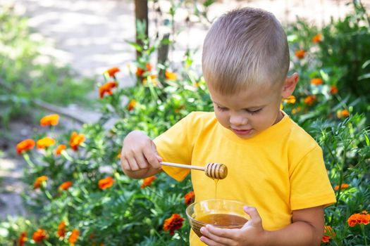 child eats honey in the garden. Nature. selective focus