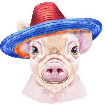 Cute piggy in sombrero hat. Pig for T-shirt graphics. Watercolor pink mini pig illustration