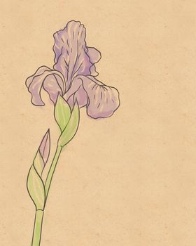 Vintage hand-drawing background with flowers. Watercolor illustration isolated on beige.