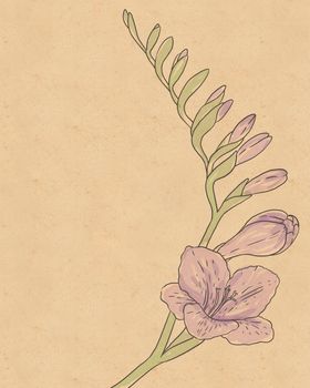 Vintage hand-drawing background with flowers. Watercolor illustration isolated on beige.