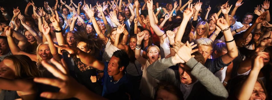 Shot of a large crowd at a music concert- This concert was created for the sole purpose of this photo shoot, featuring 300 models and 3 live bands. All people in this shoot are model released