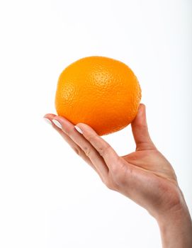 Close up Caucasian woman hand holding one fresh orange fruit isolated on white background, symbol of healthy eating concept, low angle, side view