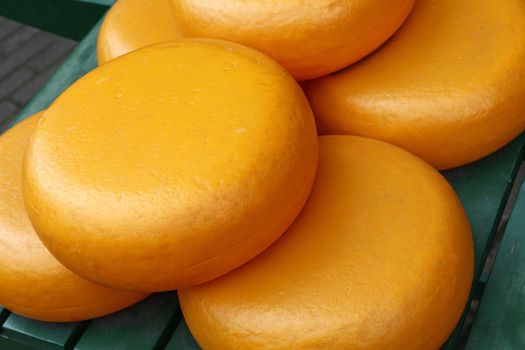 Close up big yellow wheels of hard matured gouda Dutch cheese, high angle view
