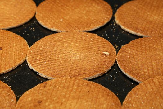Close up many freshly baked traditional round shaped sweet Dutch stroopwafel (syrup waffles) cookies on baking pan, high angle view