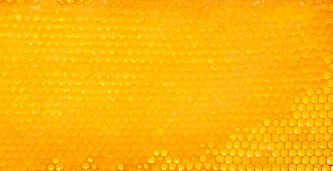 Close up fresh golden comb honey background texture, full frame honeycomb pattern
