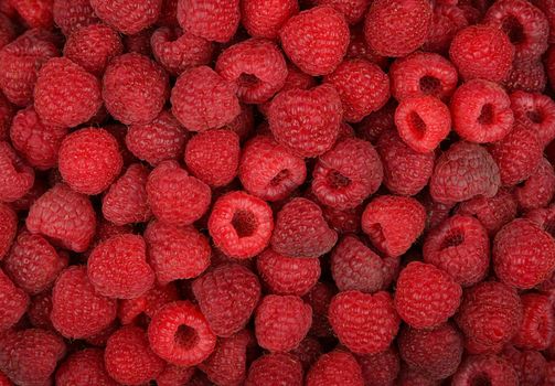 Close up background of fresh red ripe raspberry berries, elevated high angle view, directly above