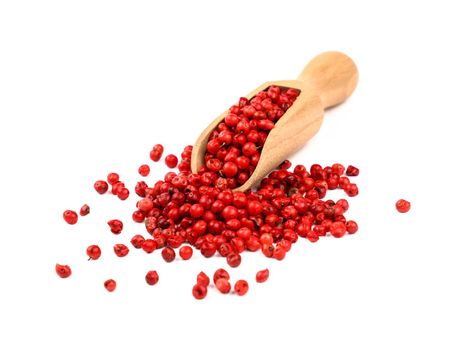 Close up one wooden scoop full of red pink pepper peppercorns spilled and spread around isolated on white background, high angle view