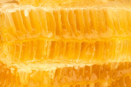 Close up cut fresh golden comb honey background texture, full frame honeycomb pattern, side view