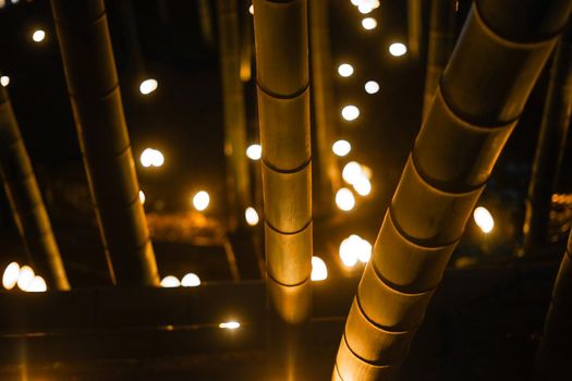 Bamboo Lights Up Light Up. Shooting Location: Yokohama-city kanagawa prefecture