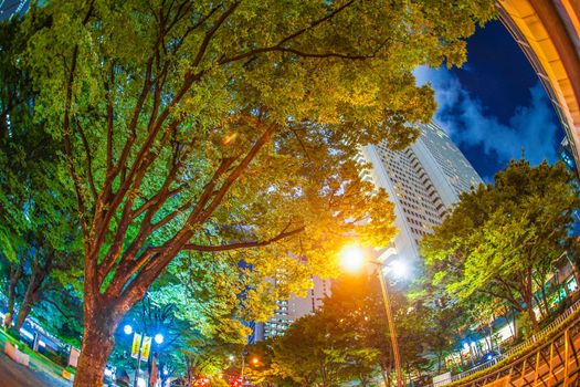 Night view of the high-rise building group of Tokyo Shinjuku. Shooting Location: Tokyo metropolitan area