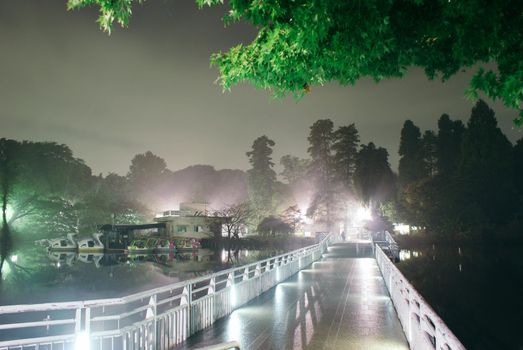 Inokashiro Park, which was wrapped in the fog. Shooting Location: Tokyo metropolitan area