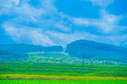 Furanos plain and cloudy sky. Shooting Location: Hokkaido Furano