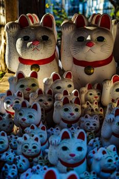 Image of invited cat (Tokyo, Gotokuji). Shooting Location: Tokyo metropolitan area