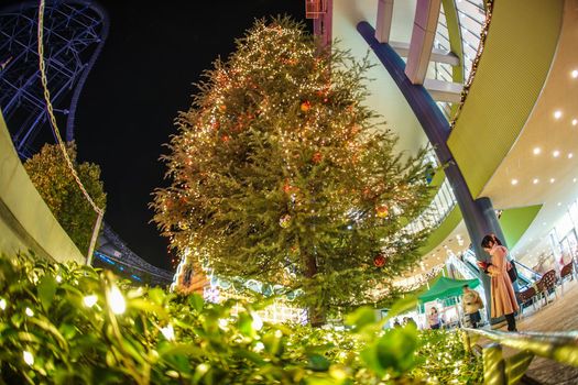 Tokyo Dome City Christmas Tree and Women. Shooting Location: Tokyo metropolitan area