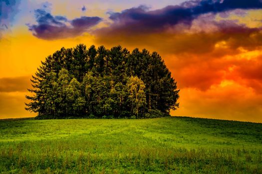 Mild Seven Hill (Hokkaido Biei-cho). Shooting Location: Hokkaido Biei-cho