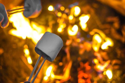 Campfire and Marshmallow image. Shooting Location: Yamanaka Yamanashi Prefecture
